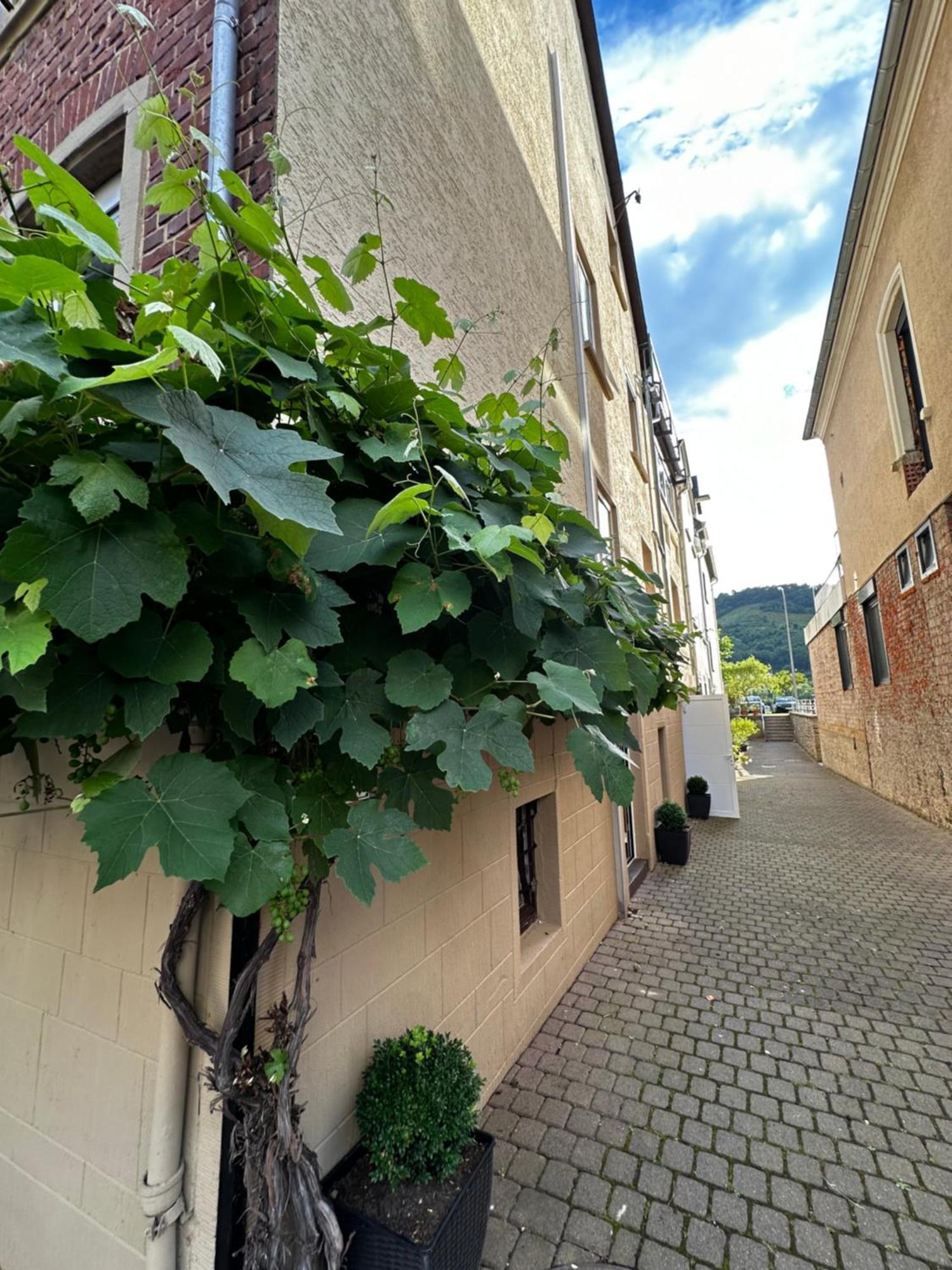 Zur Gasse *