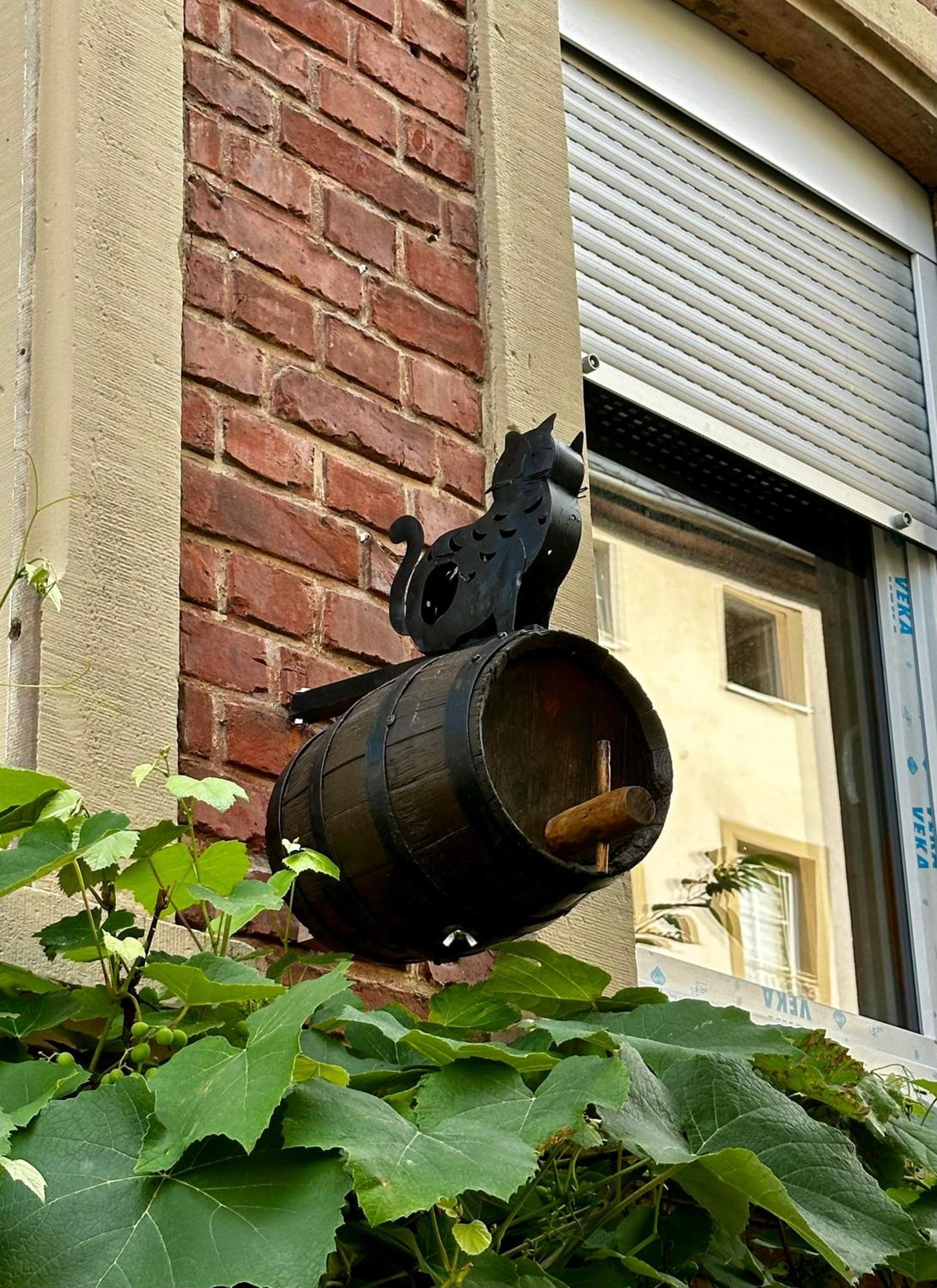 Zur Gasse Apartment *